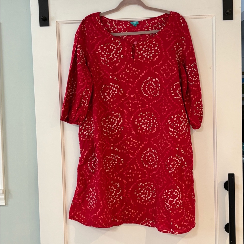 Calypso St. Barth Red and White Patterned Dress